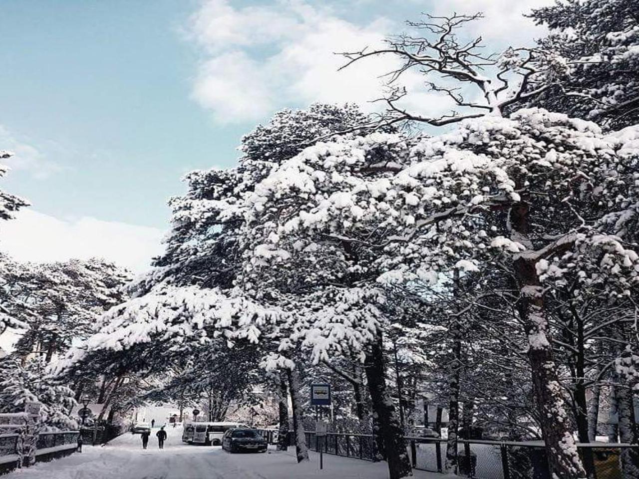 Plac Rybakow Inn Sopot Bagian luar foto